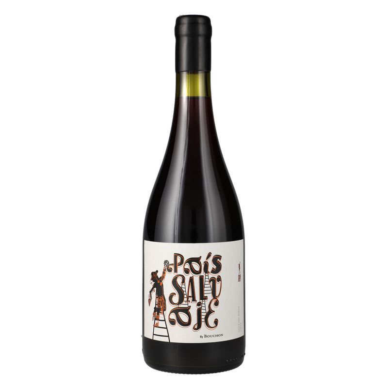 J.-Bouchon-Pais-Salvaje-Tinto