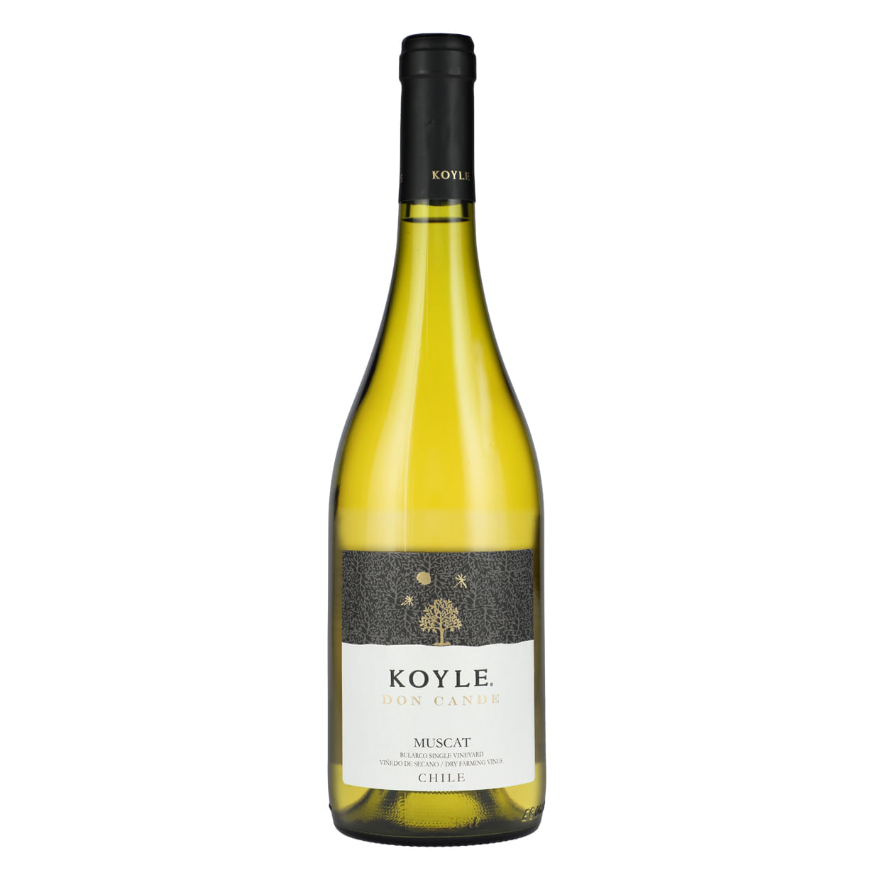 Koyle Don Cande Moscatel
