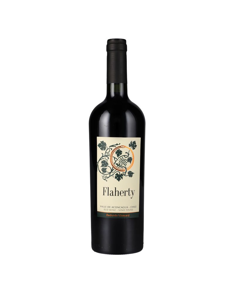 Flaherty-Aconcagua-Ensamblaje