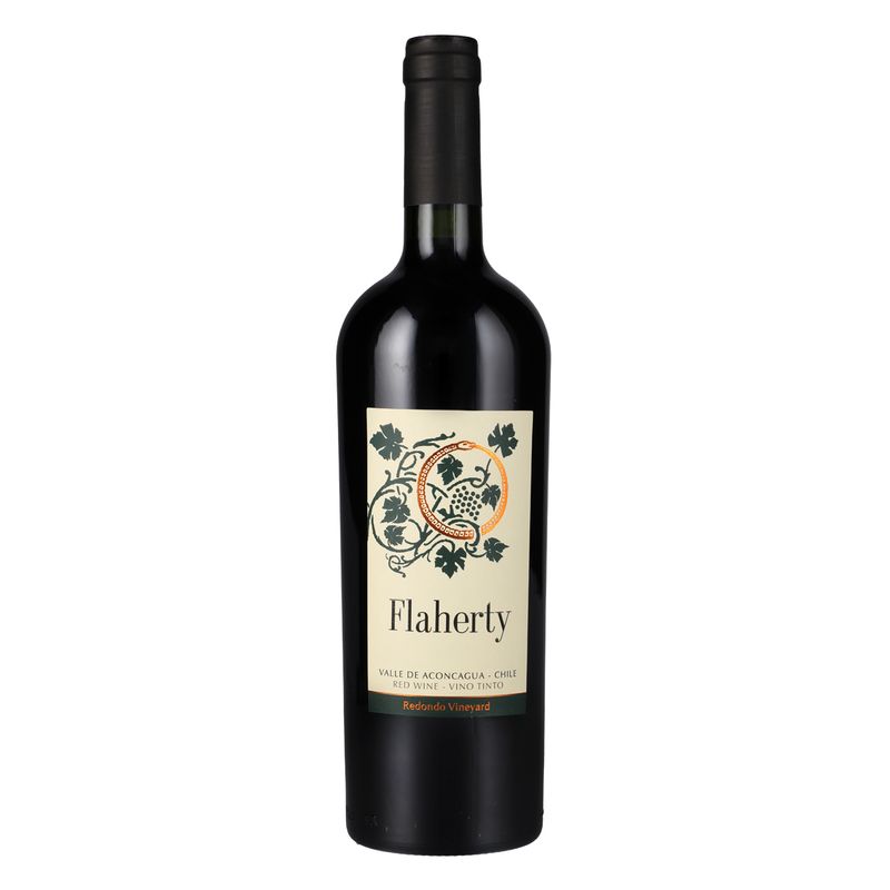 Flaherty-Aconcagua-Ensamblaje