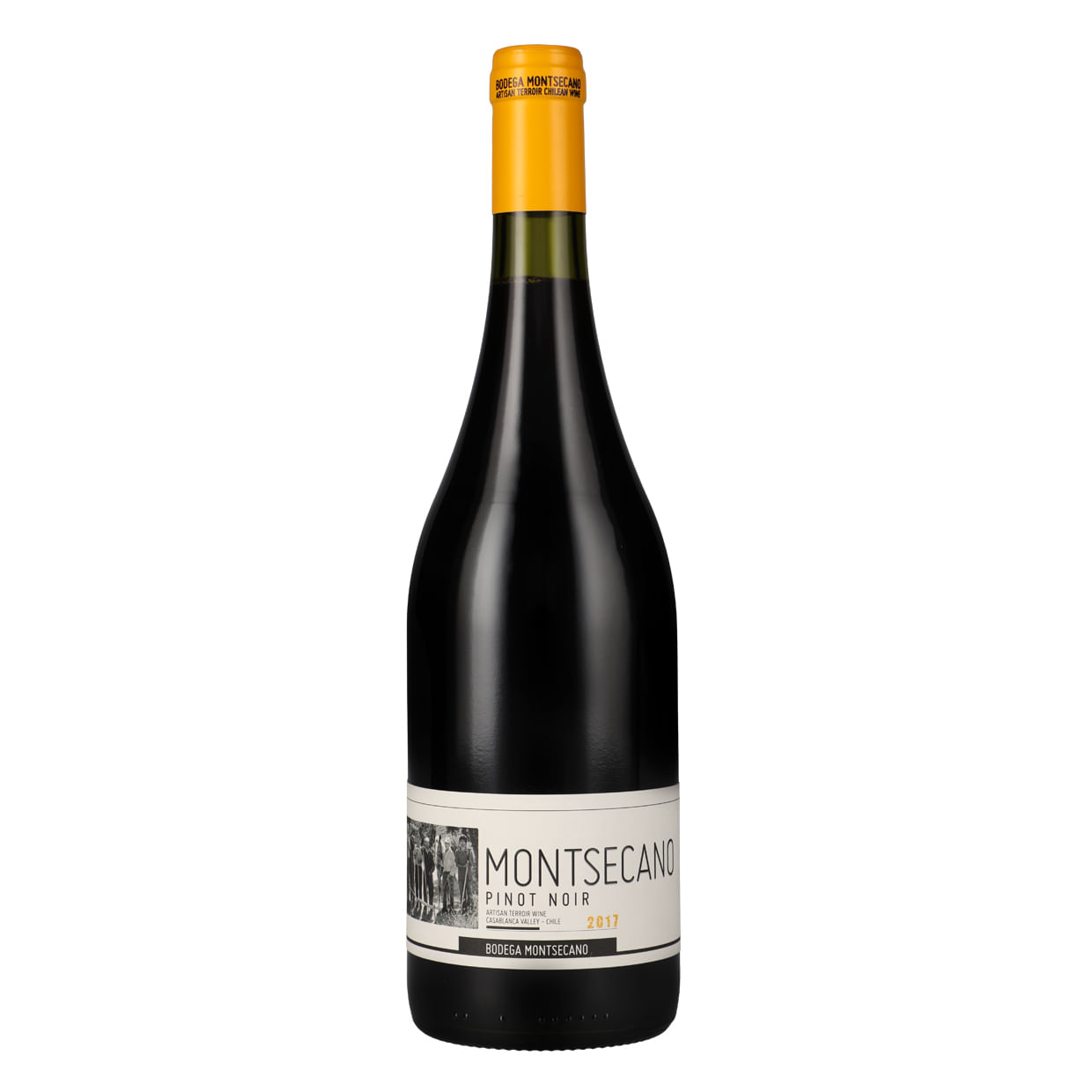 Montsecano Pinot Noir