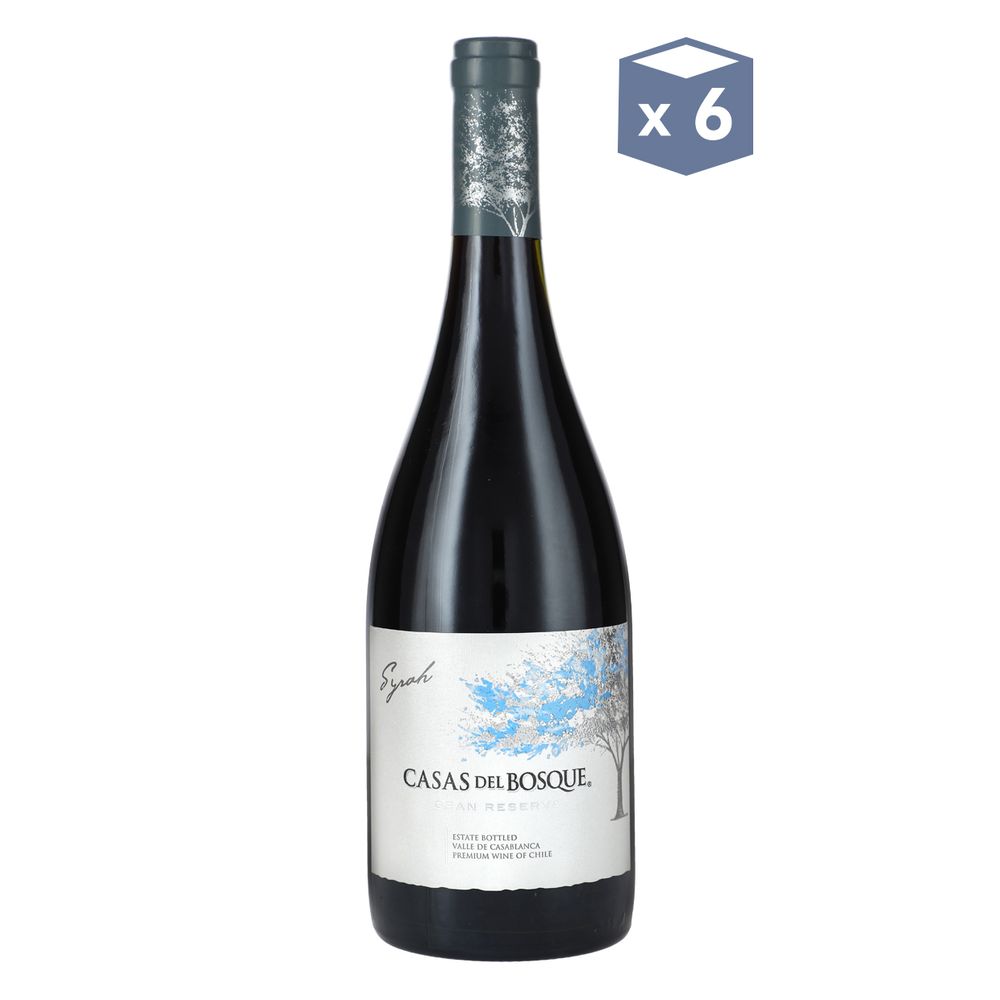Casas Del Bosque Gran Reserva Syrah