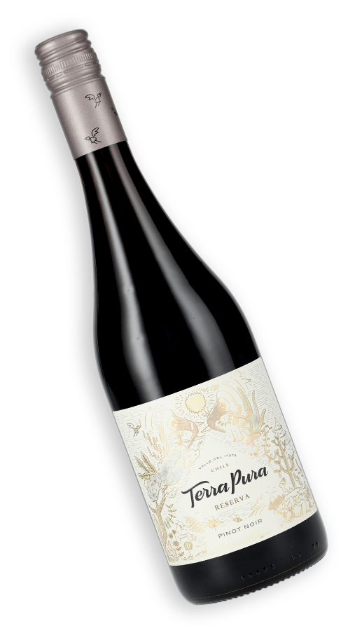 Compra online Terrapura Reserva Pinot Noir SKU 954 | La Vinoteca