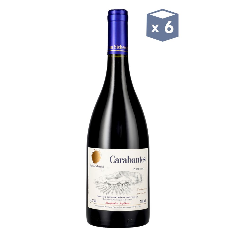 Von Siebenthal Carabantes Syrah