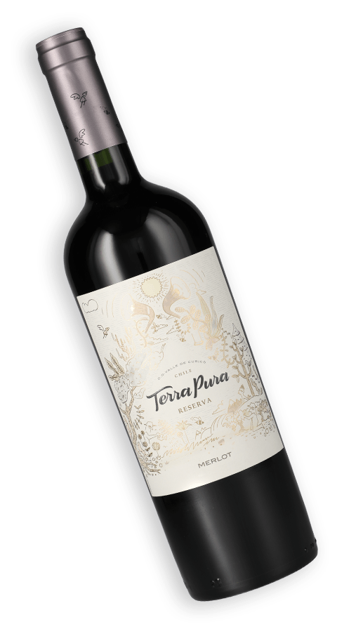 terrapura-reserva-merlot--2