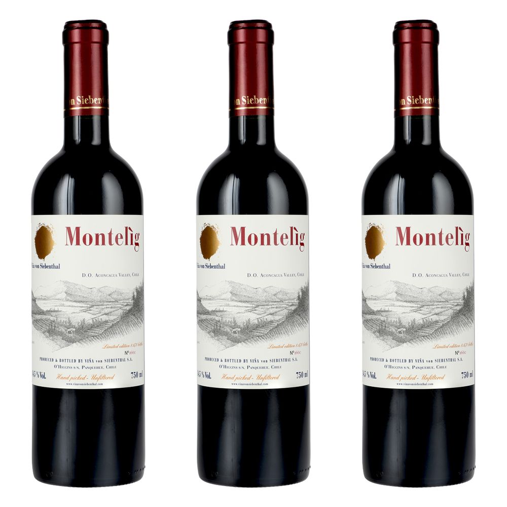 Von Siebenthal Montelig Ensamblaje X 3