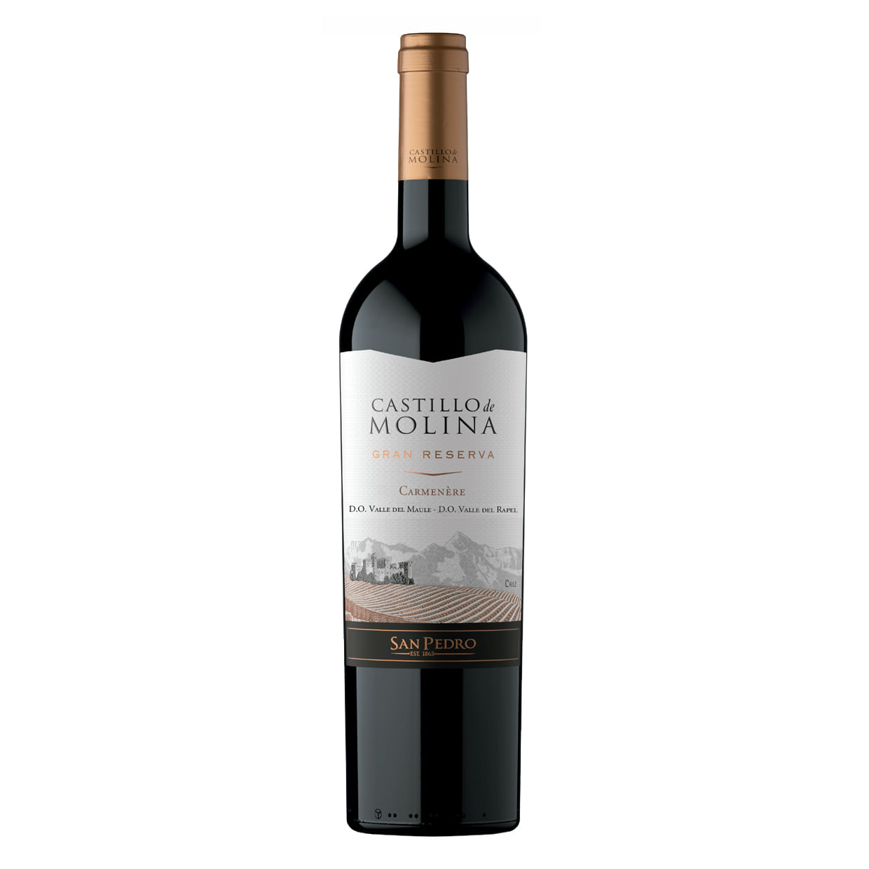 San Pedro Castillo de Molina Carmenere