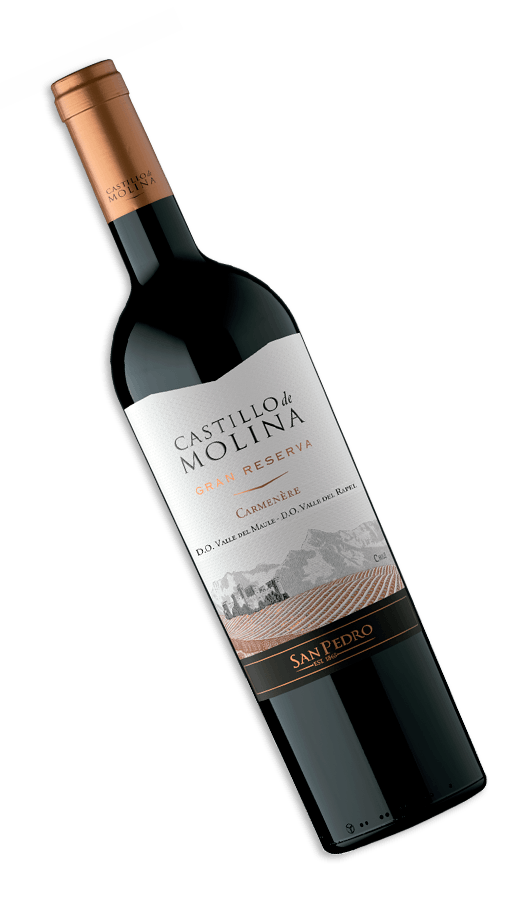 Compra online San Pedro Castillo de Molina Carmenere SKU 872 | La
