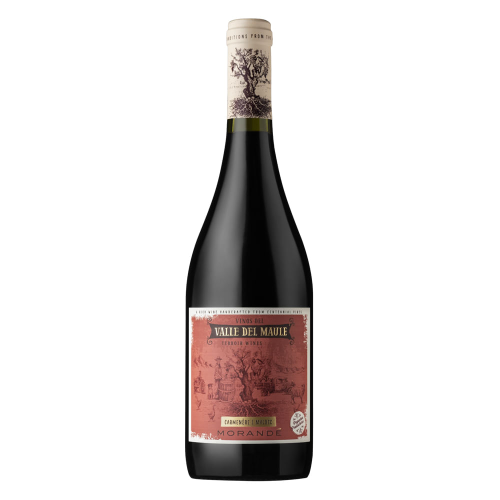 Morandé Terroir Wines Carménère Malbec
