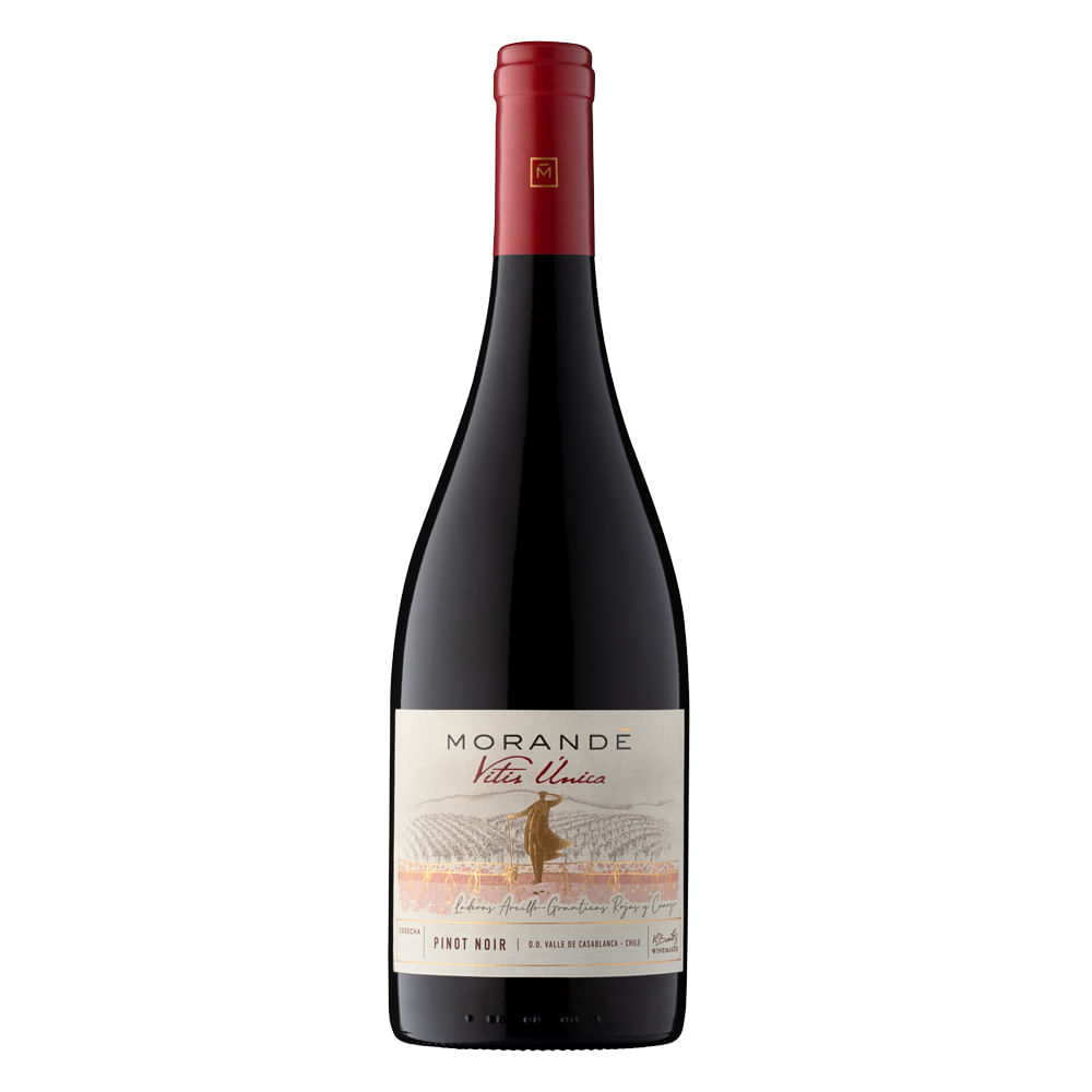 Morandé Vitis Unica Pinot Noir