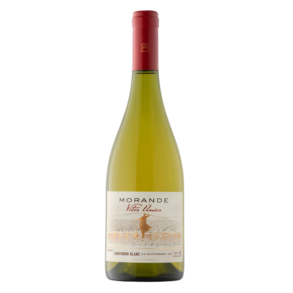 Morandé Vitis Unica Sauvignon Blanc