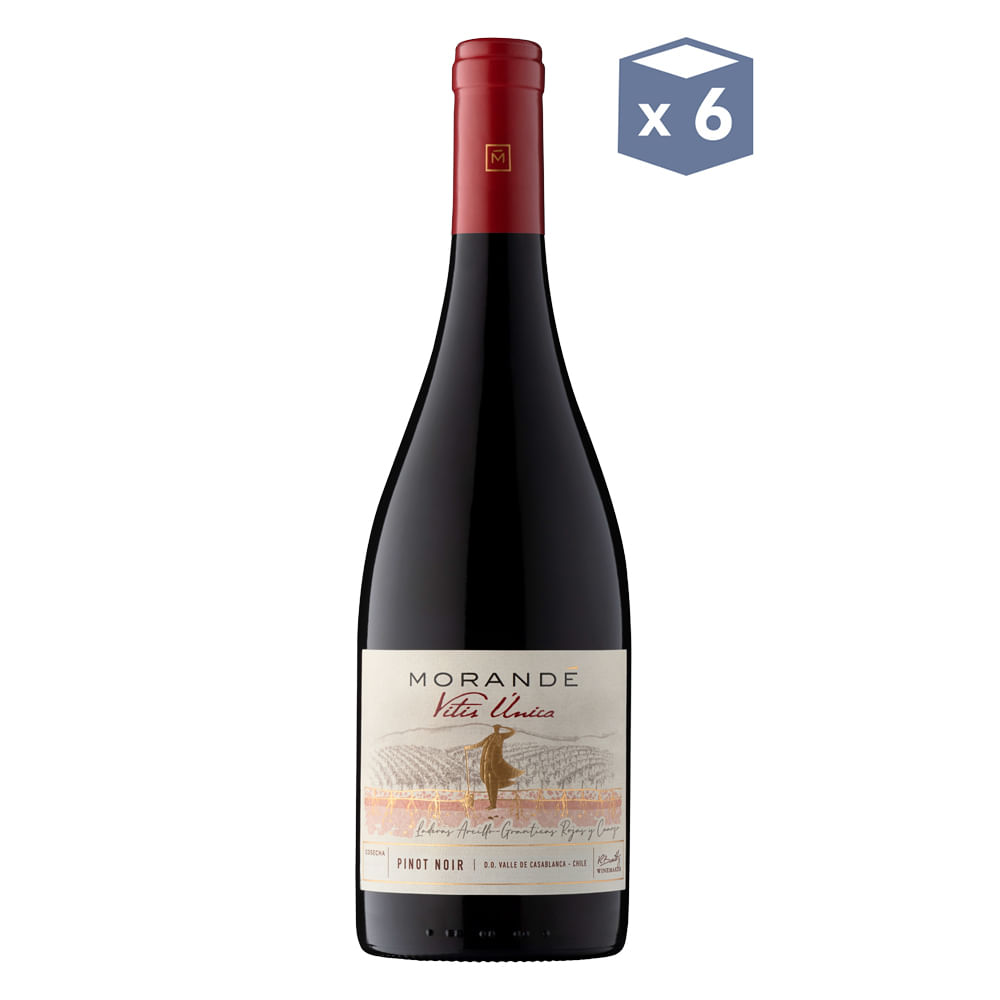 Morandé Vitis Unica Pinot Noir