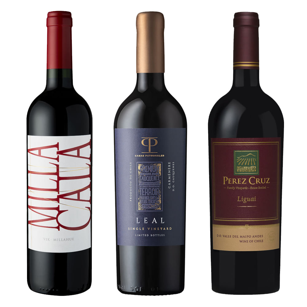 Pack Casas Patronales - VIK - Perez Cruz
