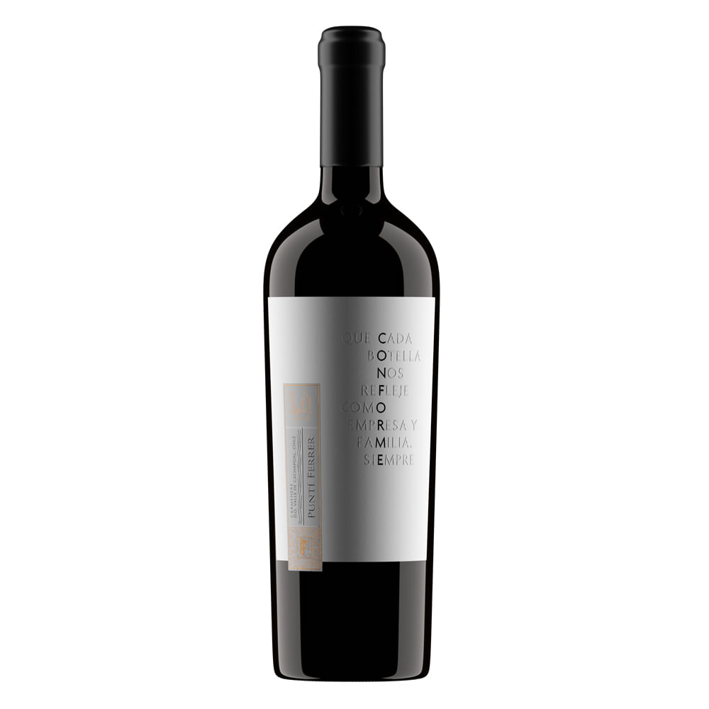 Puntí Ferrer Conforme Carmenere